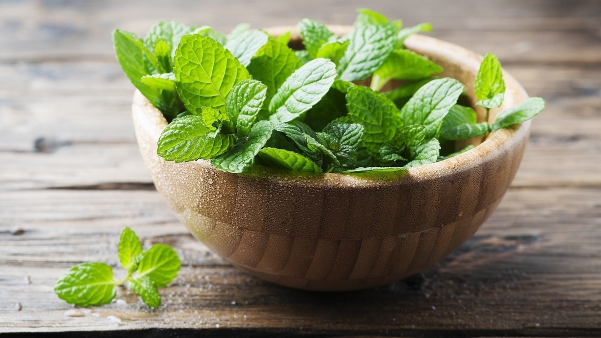 Запасайтесь впрок: найдены самые необычные способы применения мяты в быту