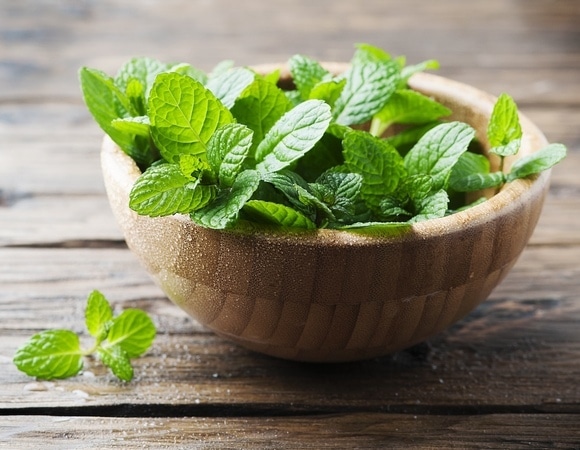Запасайтесь впрок: найдены самые необычные способы применения мяты в быту Запасайтесь впрок: найдены самые необычные способы применения мяты в быту