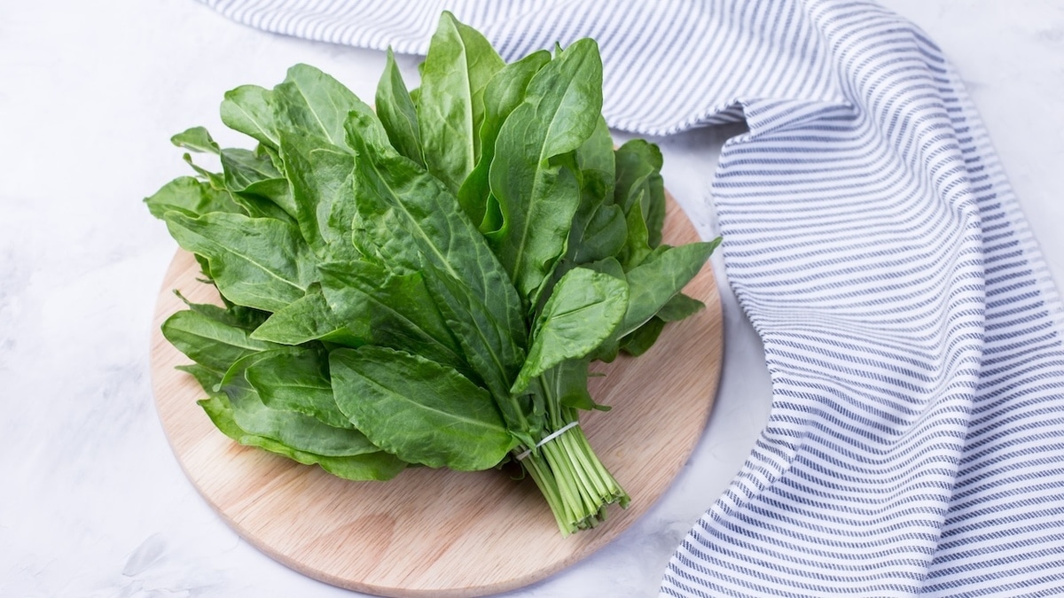 Эксперт рассказал, чем опасен молодой щавель