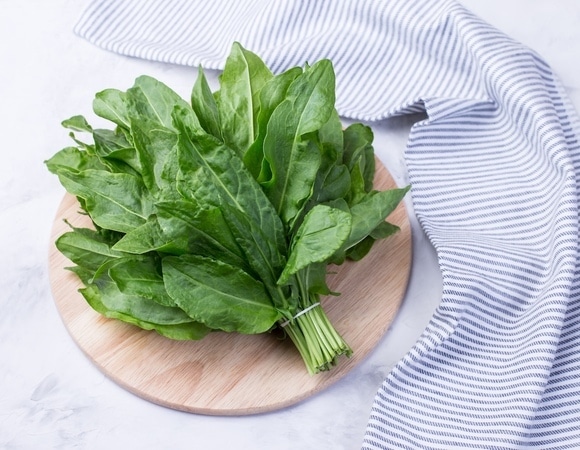 Эксперт рассказал, чем опасен молодой щавель Эксперт рассказал, чем опасен молодой щавель