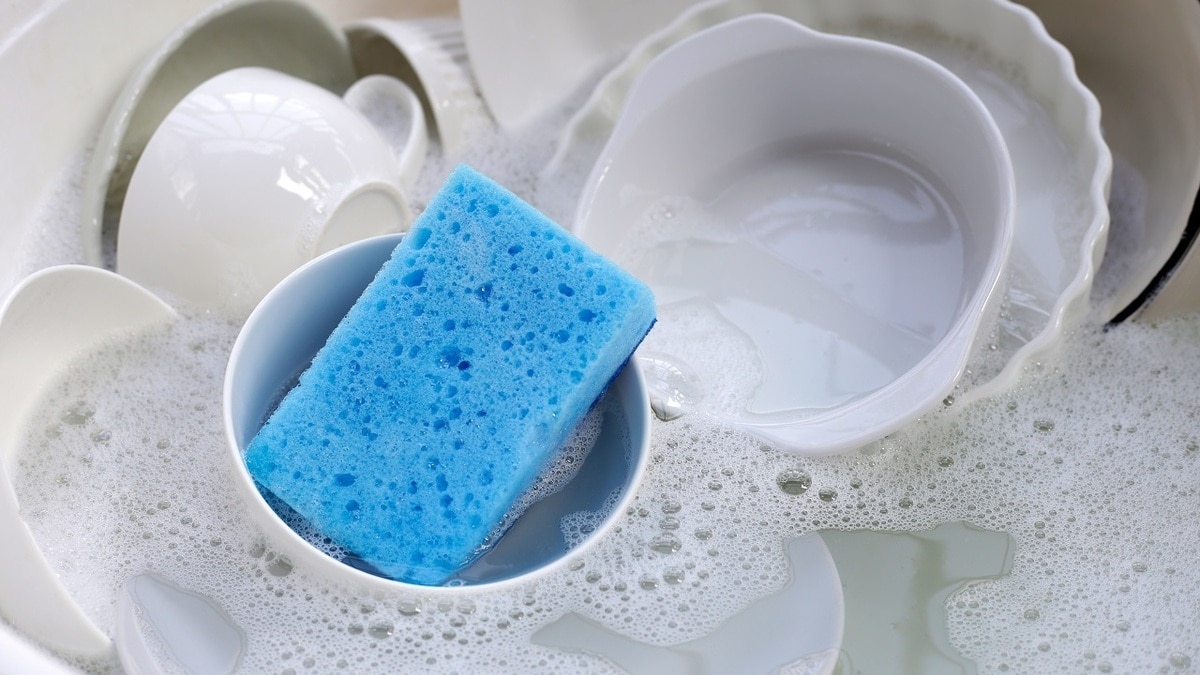 Не будет бактерий и прослужат дольше: как хранить губки для мытья посуды