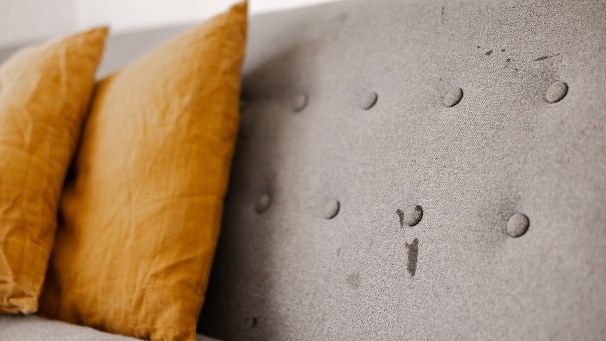 Как отмыть диван от пятен с помощью соды и крышки от кастрюли — «странный», но рабочий лайфхак