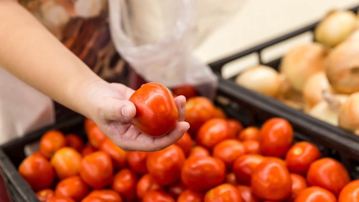 Как выбрать самые свежие сезонные овощи и фрукты — советы агронома