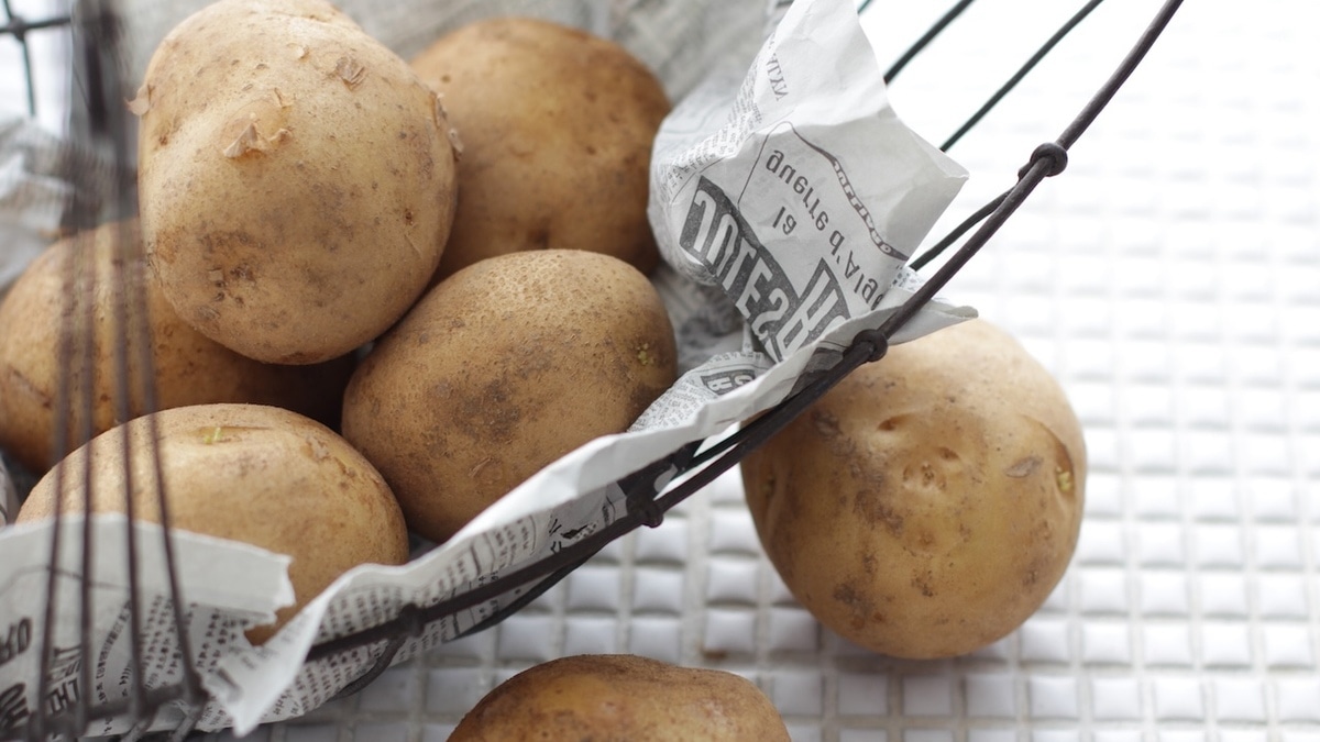 Опаснее сигарет: ученые рассказали, в каком виде картофель вреднее