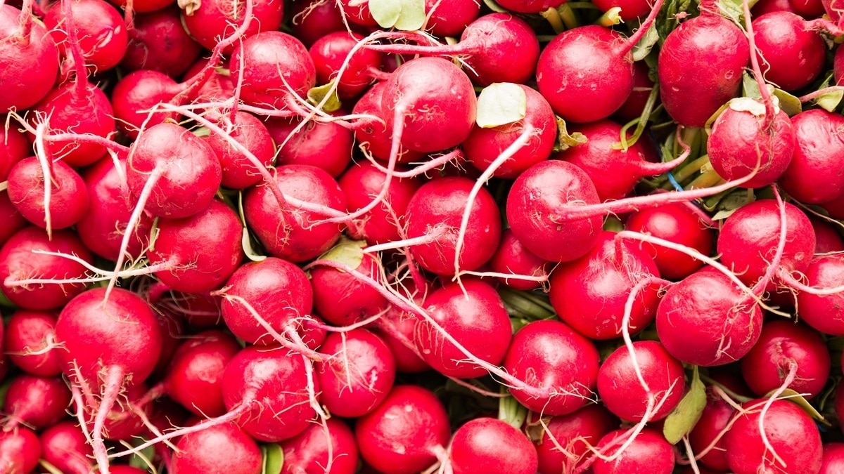 Уникальный овощ: диетолог Соломатина рассказала о неочевидной пользе редиса