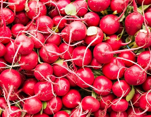 Уникальный овощ: диетолог Соломатина рассказала о неочевидной пользе редиса Уникальный овощ: диетолог Соломатина рассказала о неочевидной пользе редиса