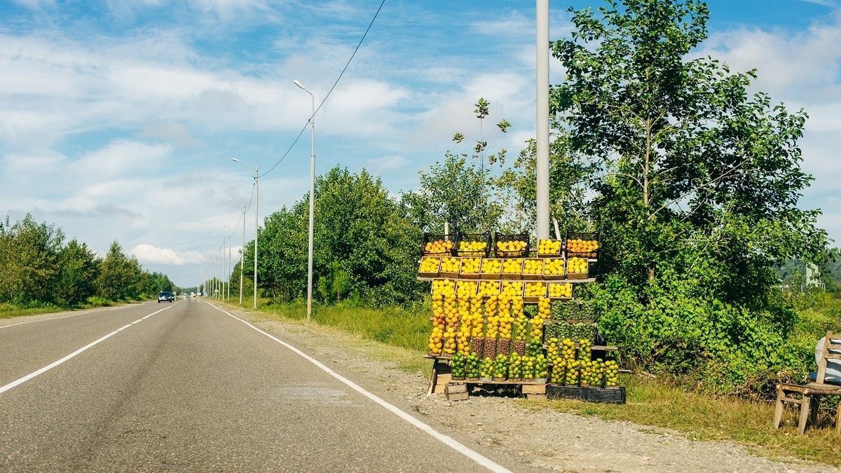 Как нужно мыть купленные у дороги овощи и фрукты — советы врача Как нужно мыть купленные у дороги овощи и фрукты — советы врача