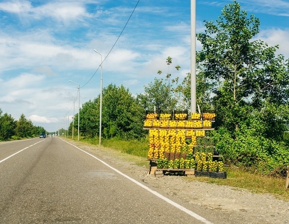 Как нужно мыть купленные у дороги овощи и фрукты — советы врача Как нужно мыть купленные у дороги овощи и фрукты — советы врача