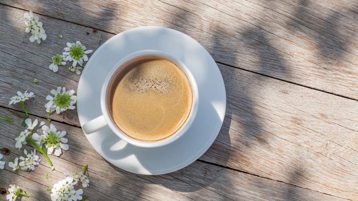 Стресс для почек или спасение от духоты? Кардиолог объяснила, как пить кофе в жару Стресс для почек или спасение от духоты? Кардиолог объяснила, как пить кофе в жару