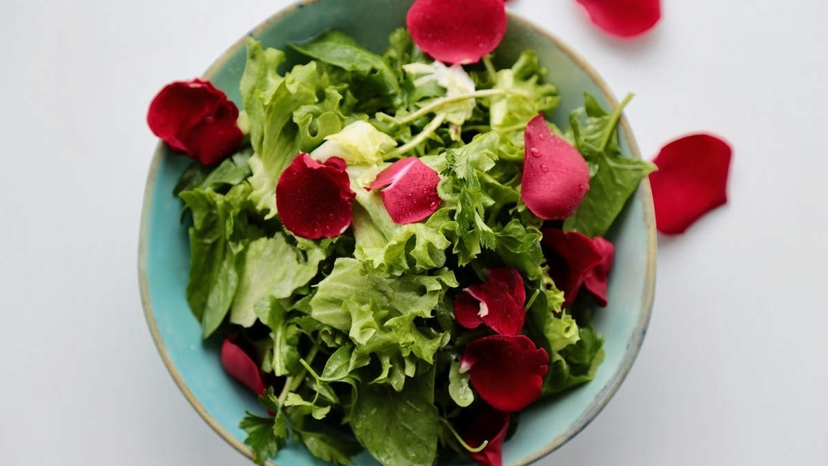 Названы 5 съедобных садовых цветов: из них получатся вкусные и красивые салаты