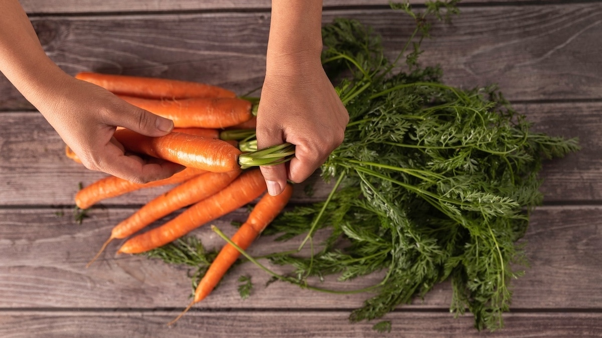 Диетолог назвала морковную ботву ценным продуктом: вот как можно ее использовать