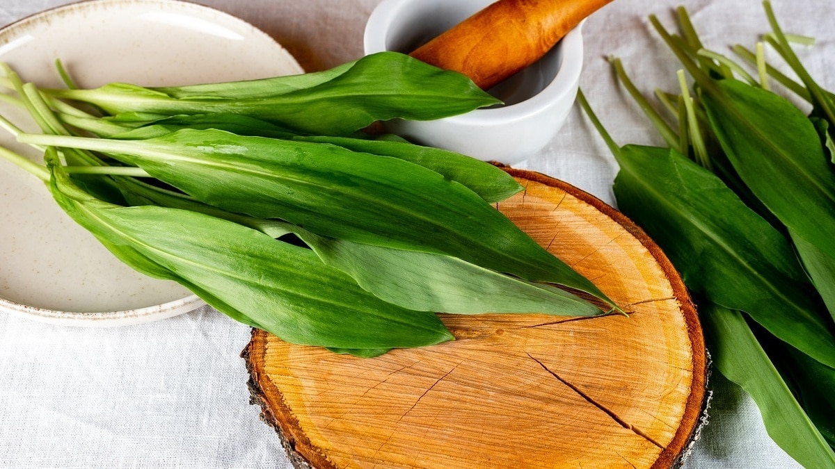 Вместо косметологов: стало известно, как черемша помогает улучшить внешность