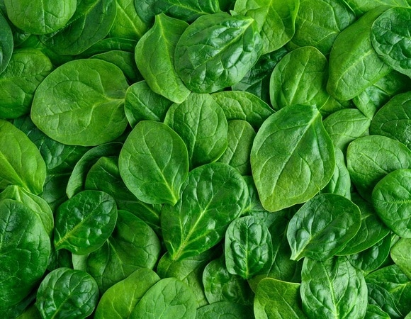 При каких заболеваниях опасно есть шпинат? Ответила диетолог При каких заболеваниях опасно есть шпинат? Ответила диетолог