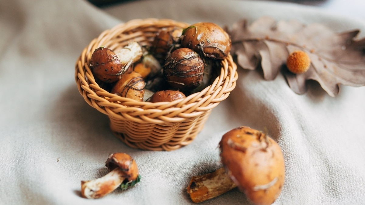 Клейкая кожица на шляпках маслят: счищать или нет?