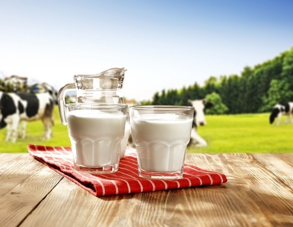 Елена Малышева призвала кипятить парное молоко перед употреблением — вот почему Елена Малышева призвала кипятить парное молоко перед употреблением — вот почему