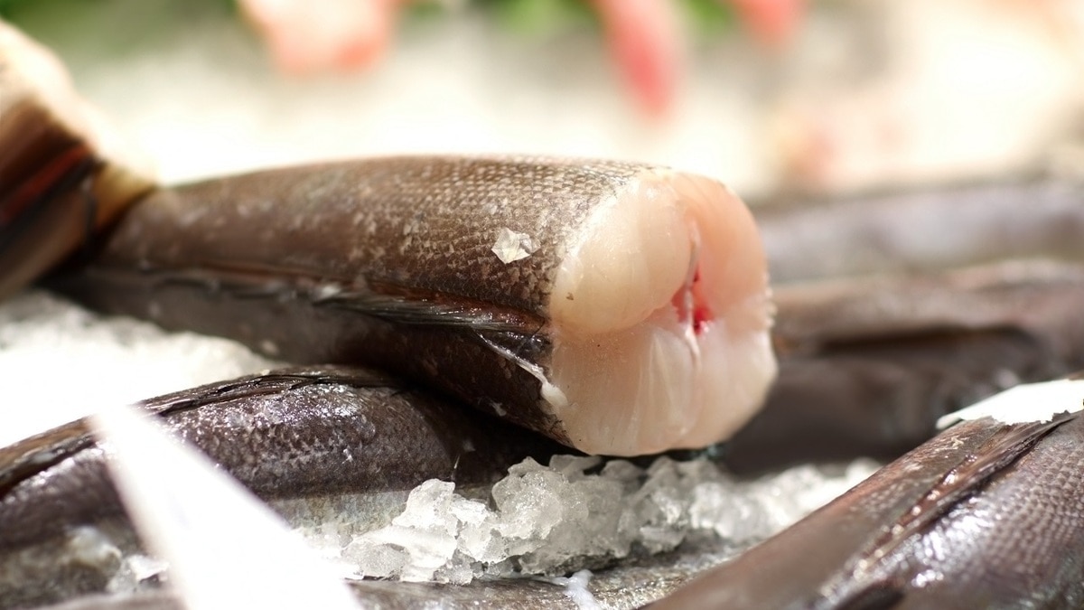 Как долго можно хранить замороженную рыбу — в эти сроки она точно не пожелтеет