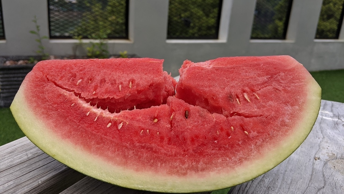 Безопасно ли есть треснувший арбуз? Нутрициолог развеяла основные мифы
