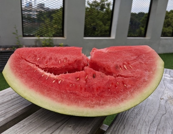 Безопасно ли есть треснувший арбуз? Нутрициолог развеяла основные мифы Безопасно ли есть треснувший арбуз? Нутрициолог развеяла основные мифы