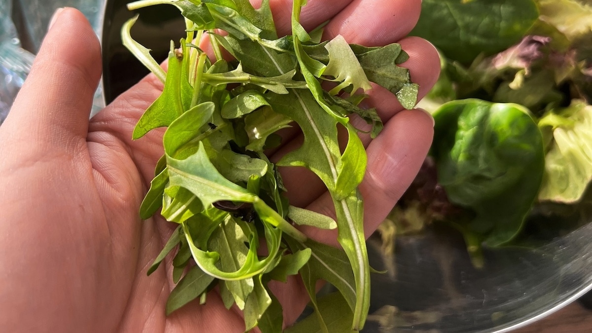 Добавляйте в каждое блюдо: эндокринолог назвала 3 вида зелени для быстрого похудения