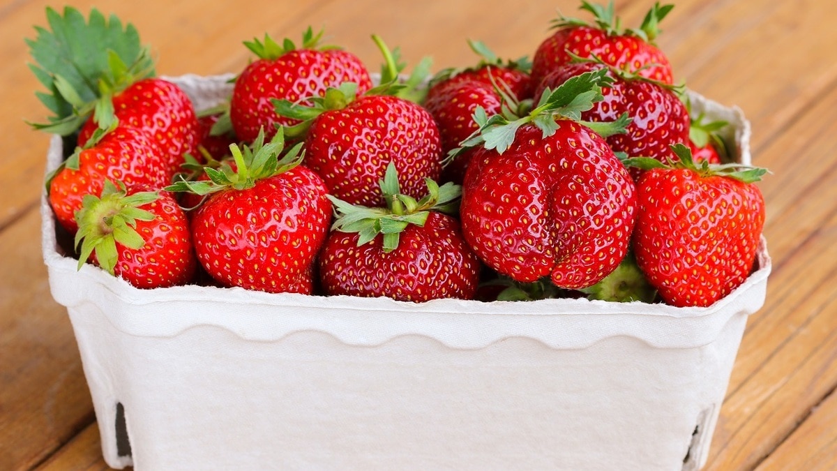 «Их не спасти»: почему нельзя есть ягоды из лотка, в котором некоторые плоды уже заплесневели