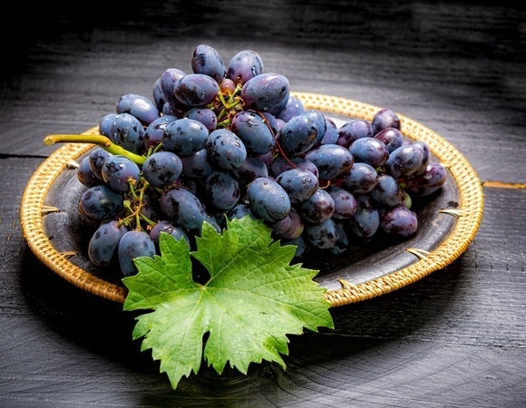 Как замариновать виноград — получится изысканная закуска, которая даст фору оливкам Как замариновать виноград — получится изысканная закуска, которая даст фору оливкам