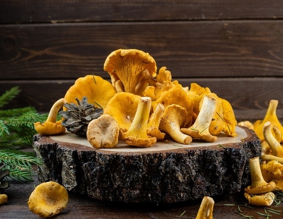 Готовим лисички на зиму: 7 хитростей, которые должна знать каждая хозяйка Готовим лисички на зиму: 7 хитростей, которые должна знать каждая хозяйка