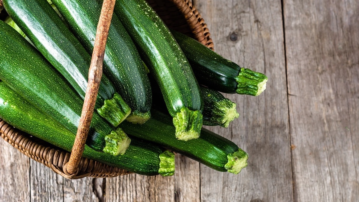 Как хранить кабачки в квартире, чтобы они не сгнили — советы агронома