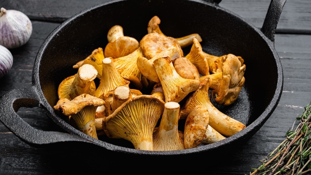 Совет дня: сколько варить лисички перед жаркой, заморозкой и засолкой?