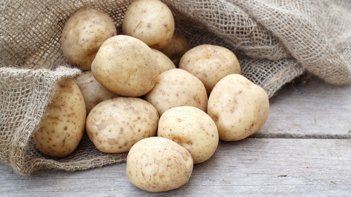 Когда пора выкапывать картофель? Агроном сказала, как вычислить точные сроки