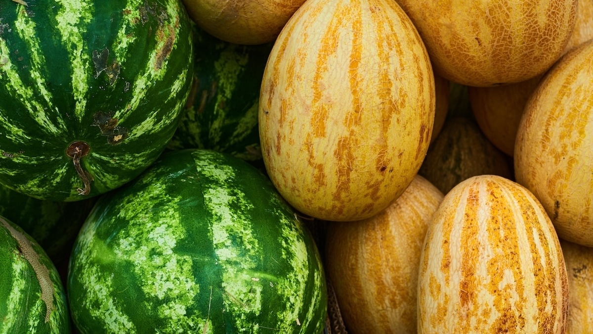 Что полезнее — арбуз или дыня? Вот какой августовский плод стоит есть чаще 