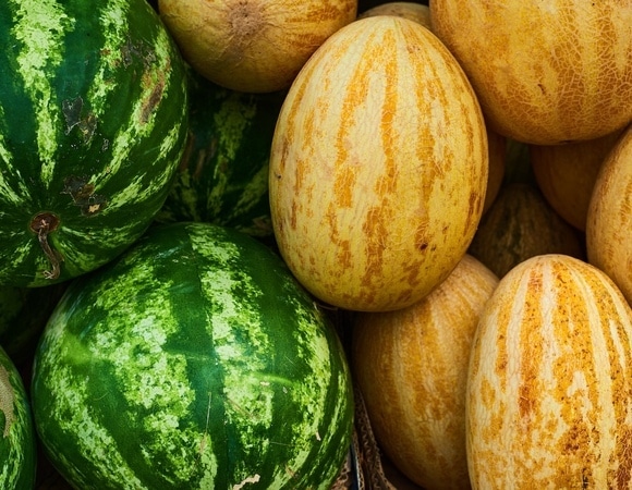 Что полезнее — арбуз или дыня? Вот какой августовский плод стоит есть чаще Что полезнее — арбуз или дыня? Вот какой августовский плод стоит есть чаще