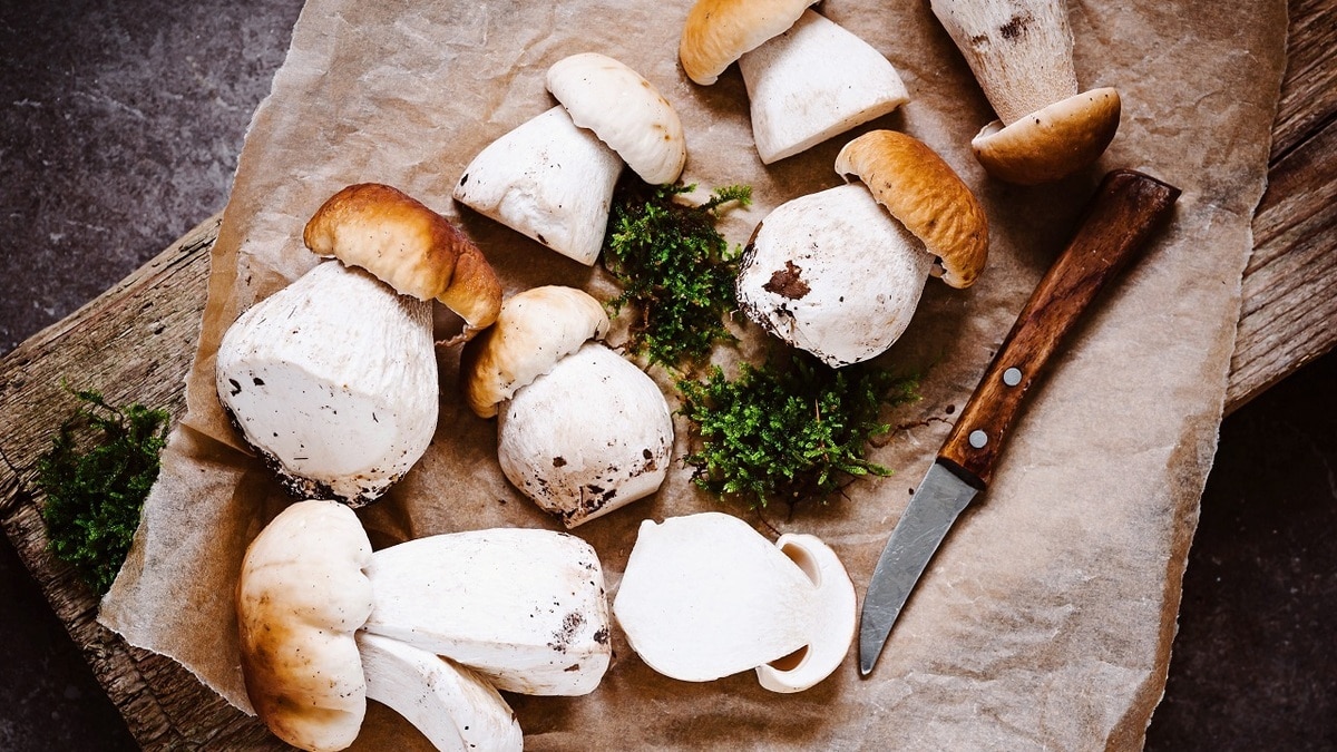 Витамины, минералы и диетические волокна: названы самые полезные грибы
