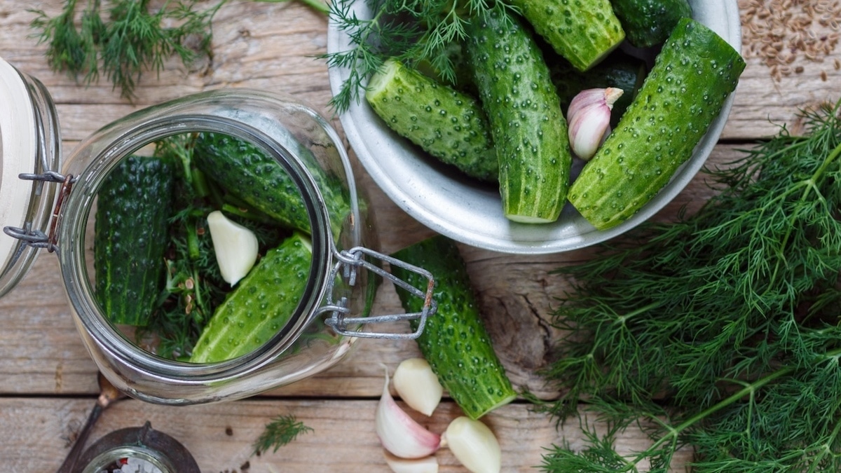 На здоровье! Врач раскрыла неожиданную пользу малосольных огурцов 