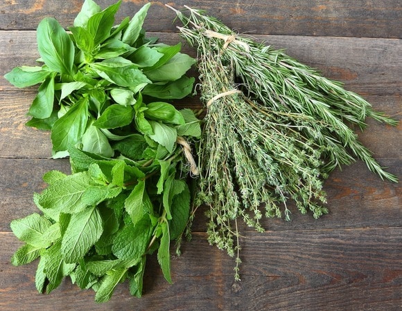 В Роскачестве объяснили, как правильно сушить мяту, чабрец, зверобой и другие «чайные» травы