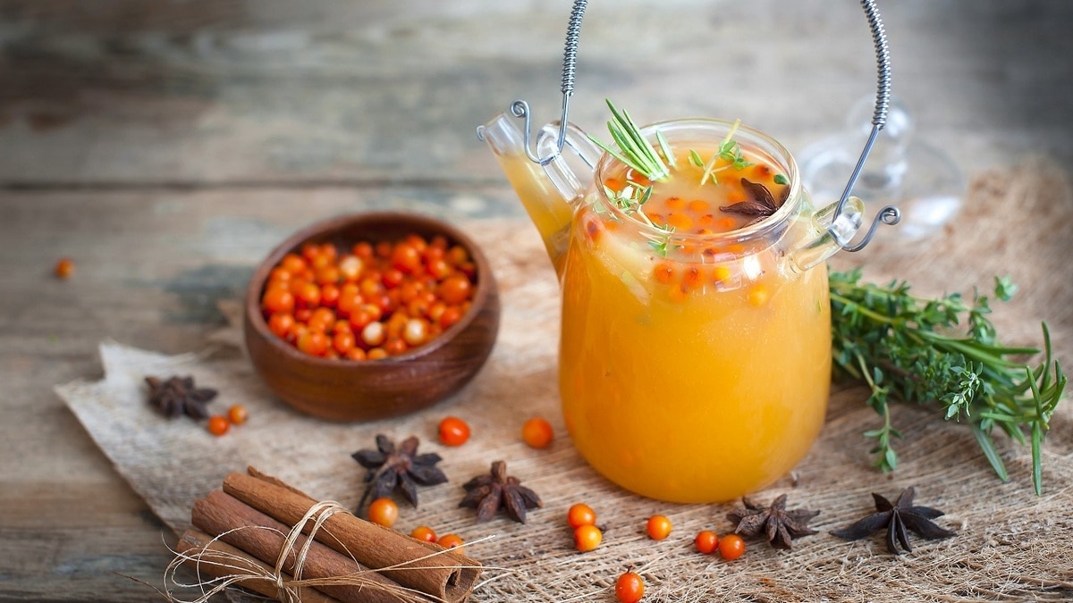 Для красоты кожи, «стальных» нервов и еще 7 причин приготовить чай из облепихи