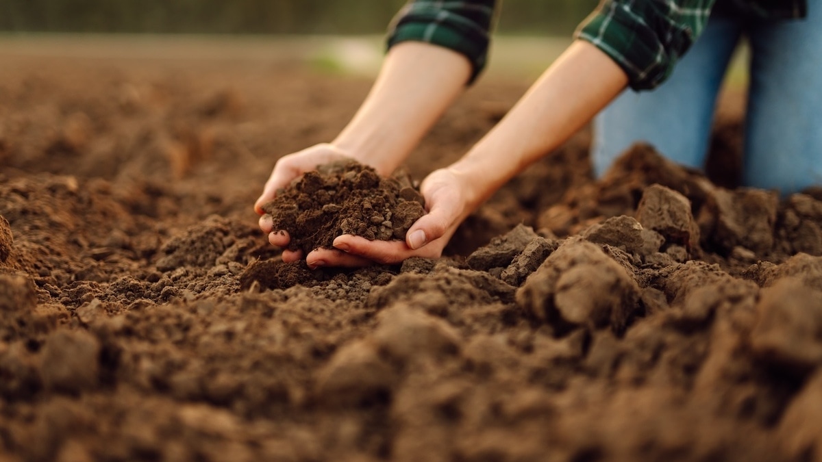 Из чего сделать хороший компост — с этими подкормками огород «завалит» урожаем Из чего сделать хороший компост — с этими подкормками огород «завалит» урожаем