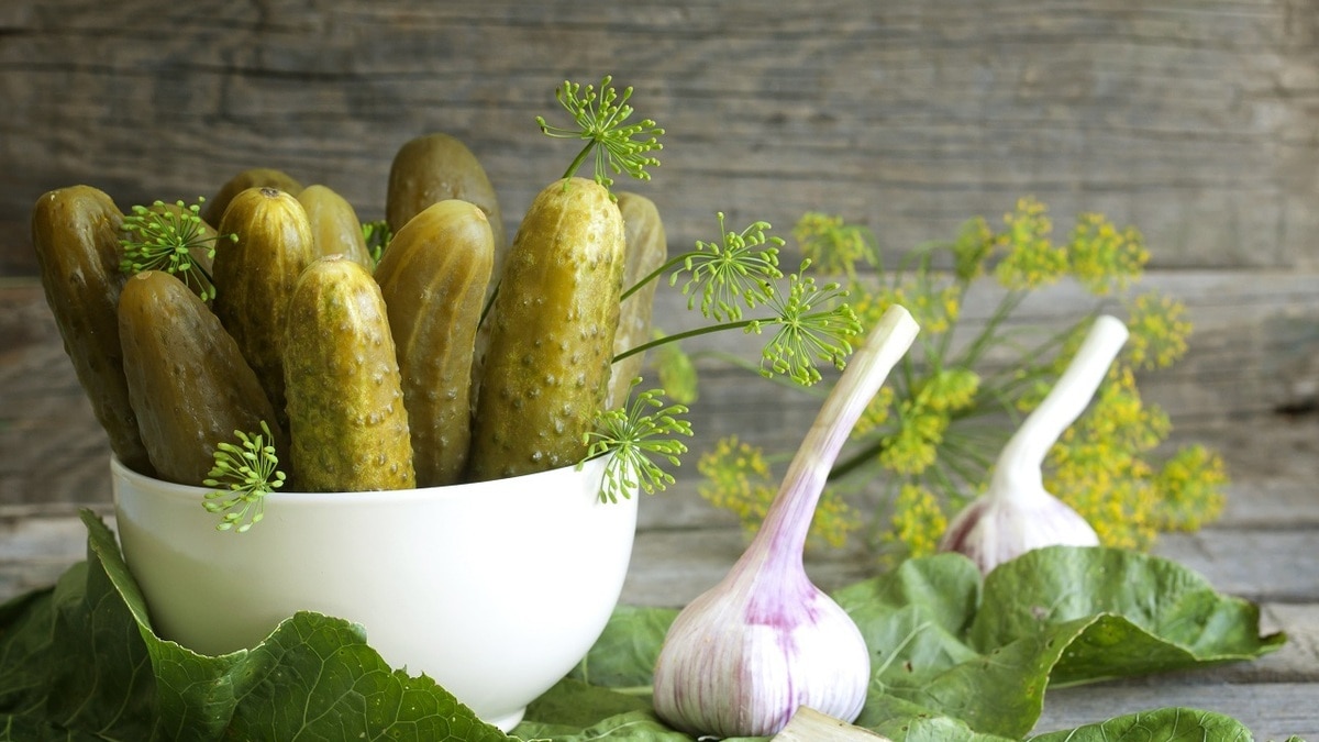 Быстрый рецепт вкусных малосольных огурцов — на приготовление рассола уйдет минута!