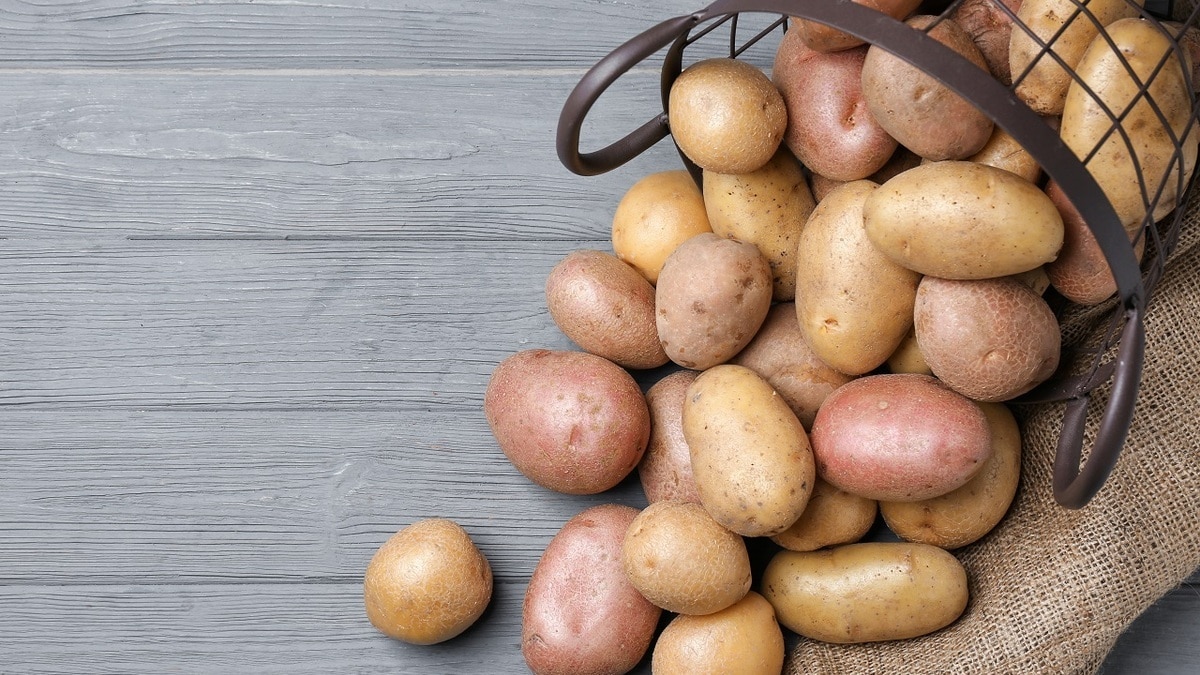 Как хранить картофель в холодильнике — эти 2 правила «спасут» корнеплод и другие продукты