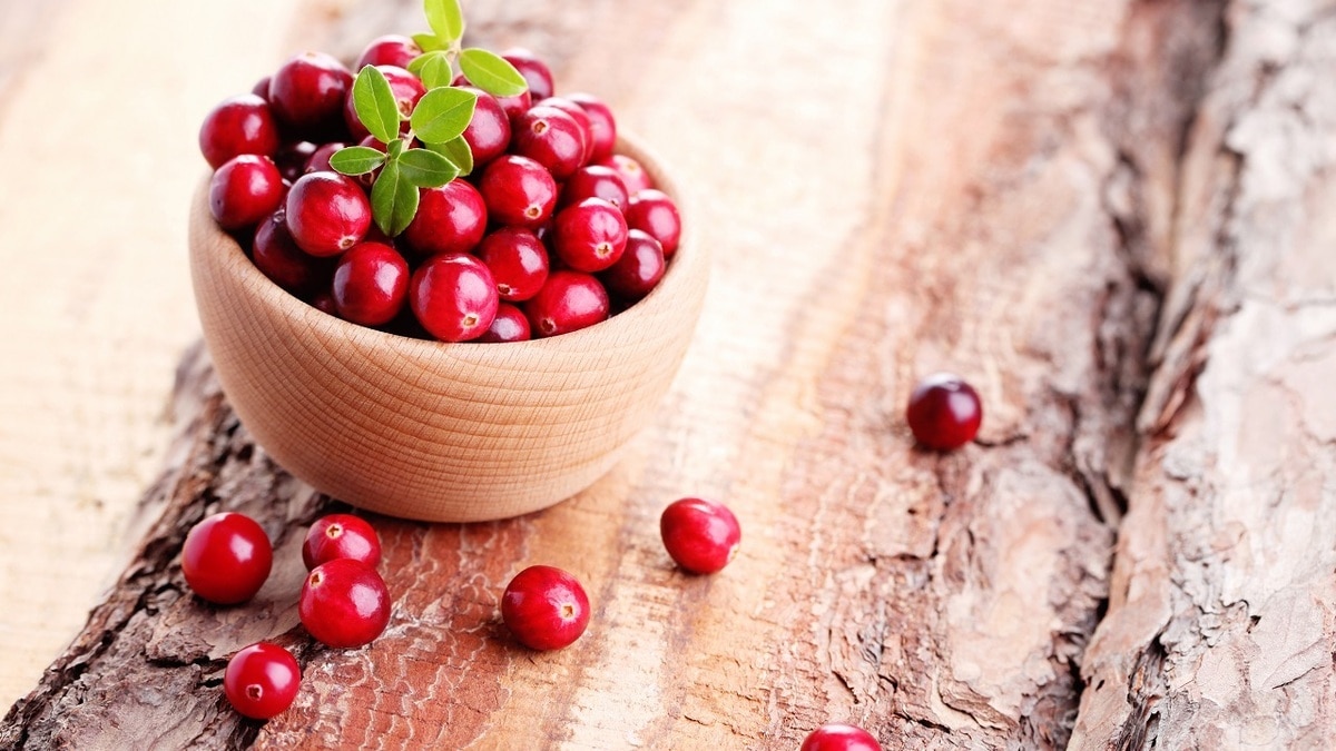 Клюква и брусника: в чем разница и какая ягода полезнее? Клюква и брусника: в чем разница и какая ягода полезнее?