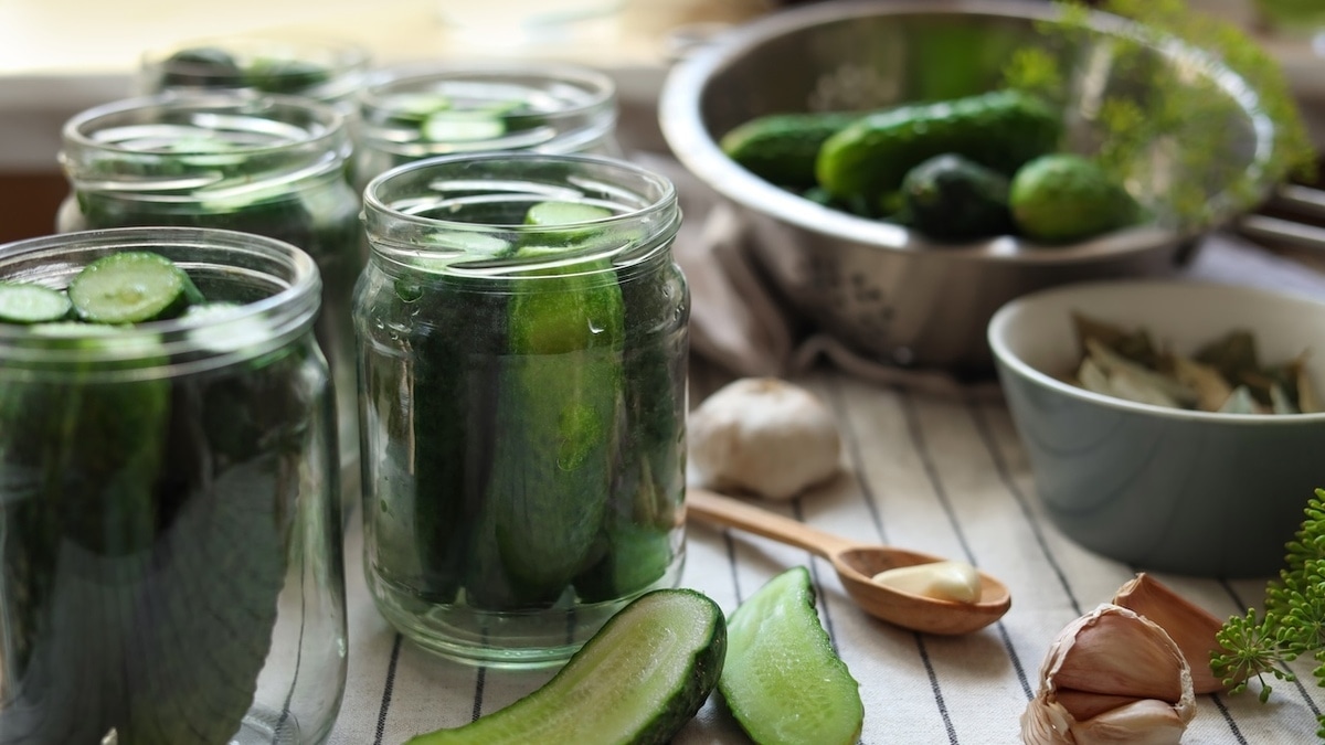 Какие огурцы подойдут для засолки — объяснили в Роспотребнадзоре