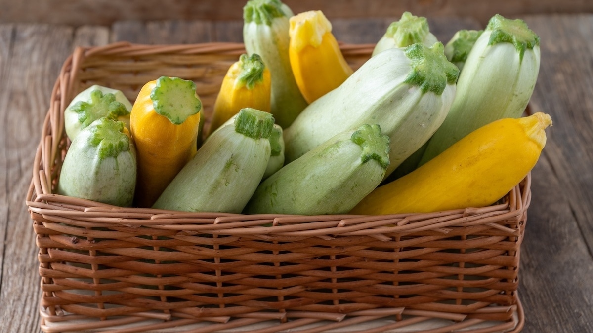 Опытная дачница рассказала, как хранить кабачки месяцами — все дело в правильном положении!