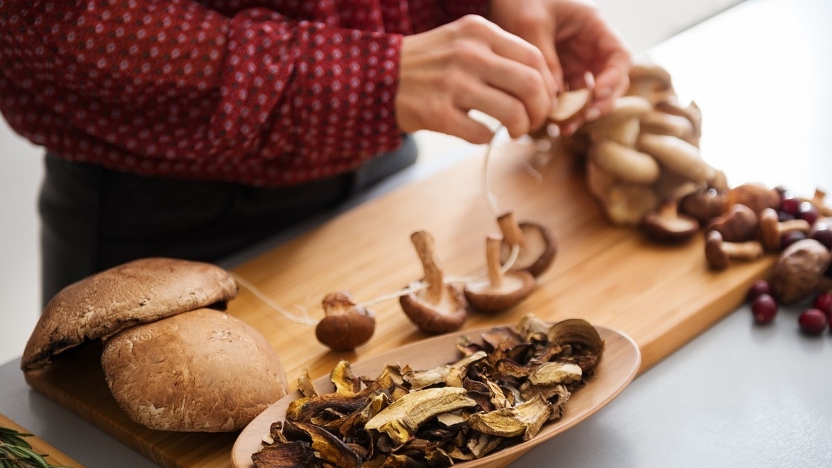 Как правильно сушить грибы на нитке — особенности старинного метода