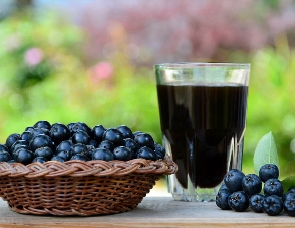 Что приготовить из черноплодной рябины, кроме вина? Лучшая идея от «Едим Дома»