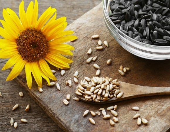 Что будет, если есть семечки каждый день — названы 5 положительных изменений Что будет, если есть семечки каждый день — названы 5 положительных изменений