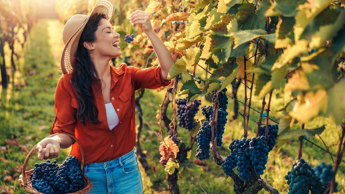 Так с косточками или без? Врач подсказала, как правильно есть виноград