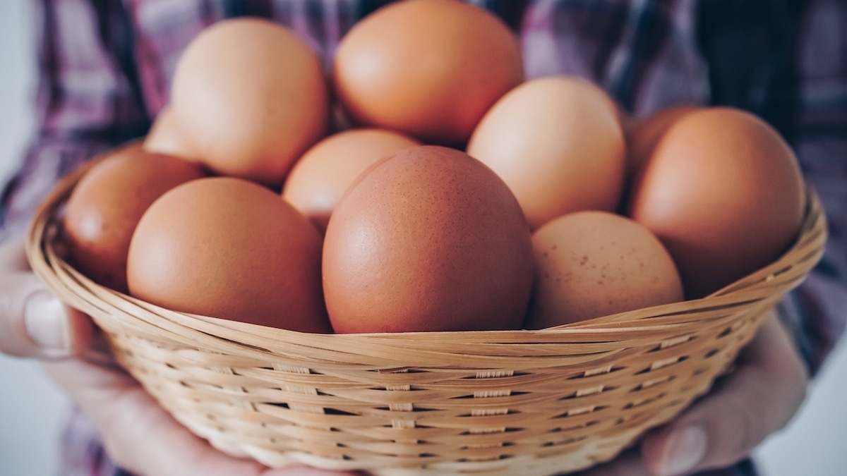 Лишний продукт: гастроэнтеролог объяснила, кому и почему нельзя есть яйца Лишний продукт: гастроэнтеролог объяснила, кому и почему нельзя есть яйца