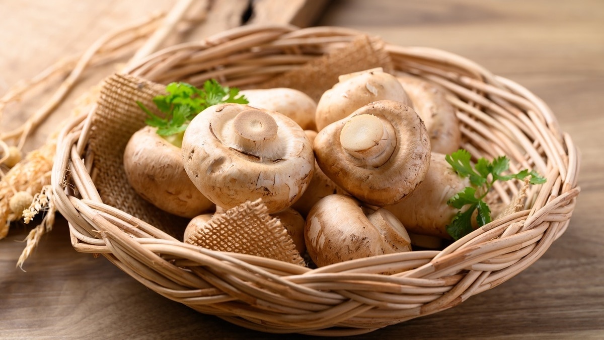 Так чистить или нет? Кулинары объяснили, нужно ли удалять «кожицу» с шампиньонов