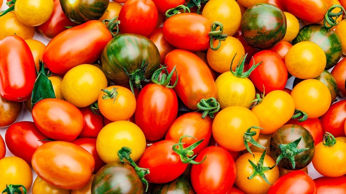 Найден самый надежный способ хранения свежих томатов в квартире — «доживут» до зимы! Найден самый надежный способ хранения свежих томатов в квартире — «доживут» до зимы!