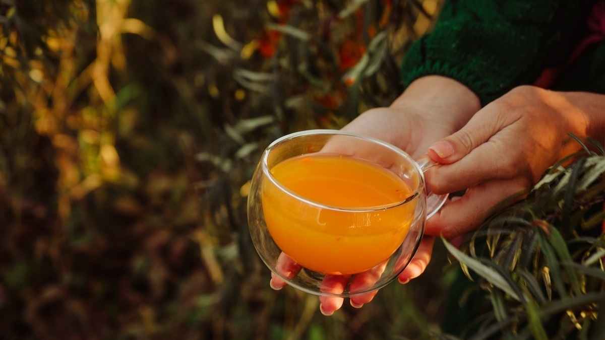 Суточная норма витамина С: какая ягода осенью будет нужна всем?