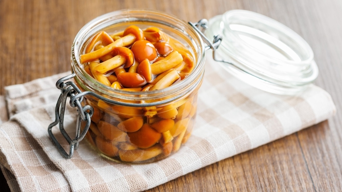 Непробиваемый иммунитет, хороший гемоглобин и не только: 5 неожиданных причин есть опята чаще